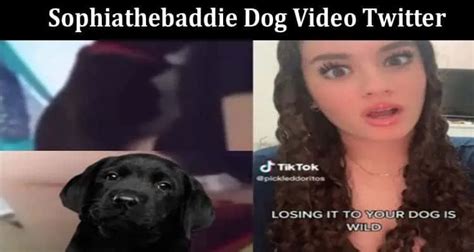 johnvidzz leak|️original Leaked Video of Sofia the baddie dog video